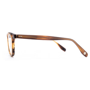 L&F &3 | EV6 Extended Vision Readers | Matte Striped Tortoise