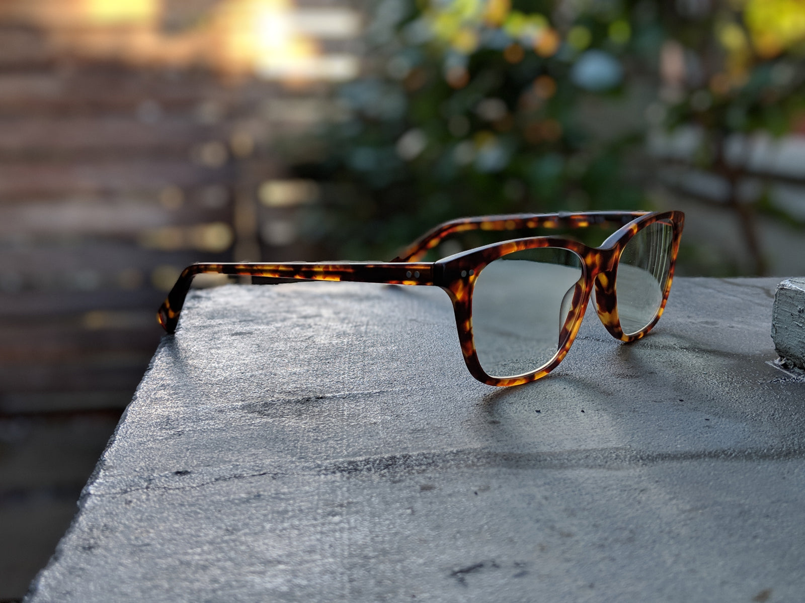 LA Times features Lens & Frame Co. -  Eyewear Industry Disruptors