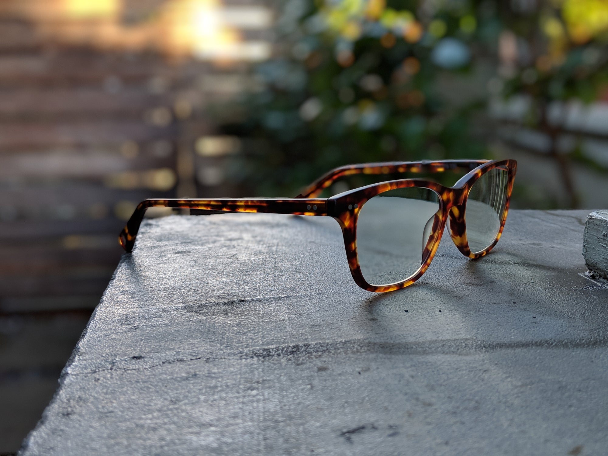 Gabe Kapler's Favorite Sunglasses and Eyeglasses - Lens & Frame Co.