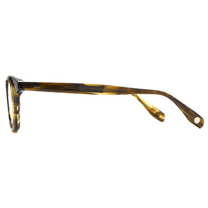 L&F &2 | EVinfinity Extended Vision Readers | Olive