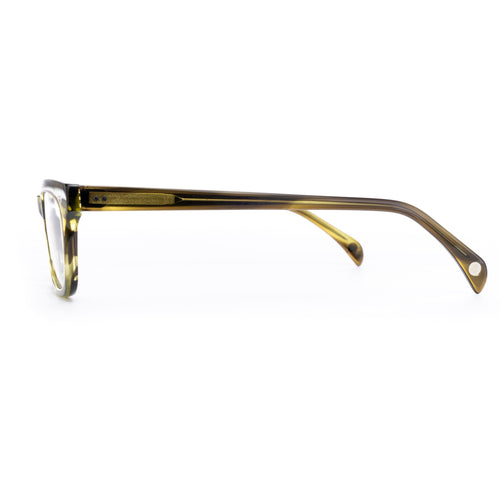 L&F &1 | EV20 Extended Vision Readers | Kiwi