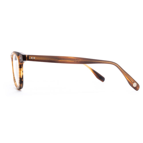 L&F &3 | EV6 Extended Vision Readers | Matte Striped Tortoise