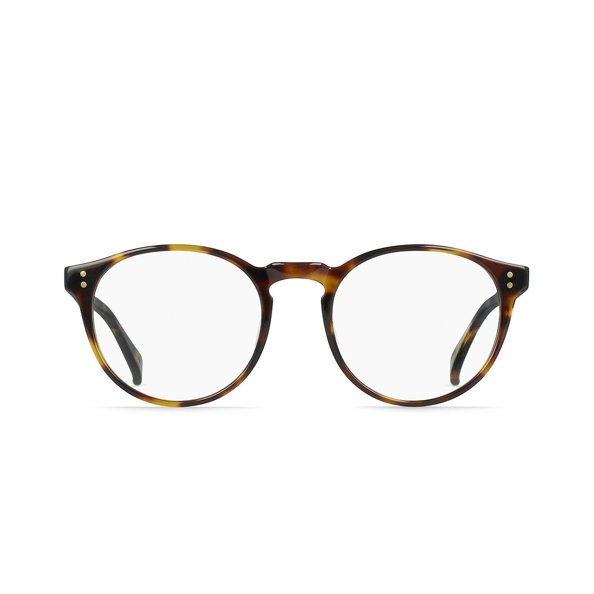 RAEN Beal 48 | EV6 Extended Vision Readers | Kola Tortoise