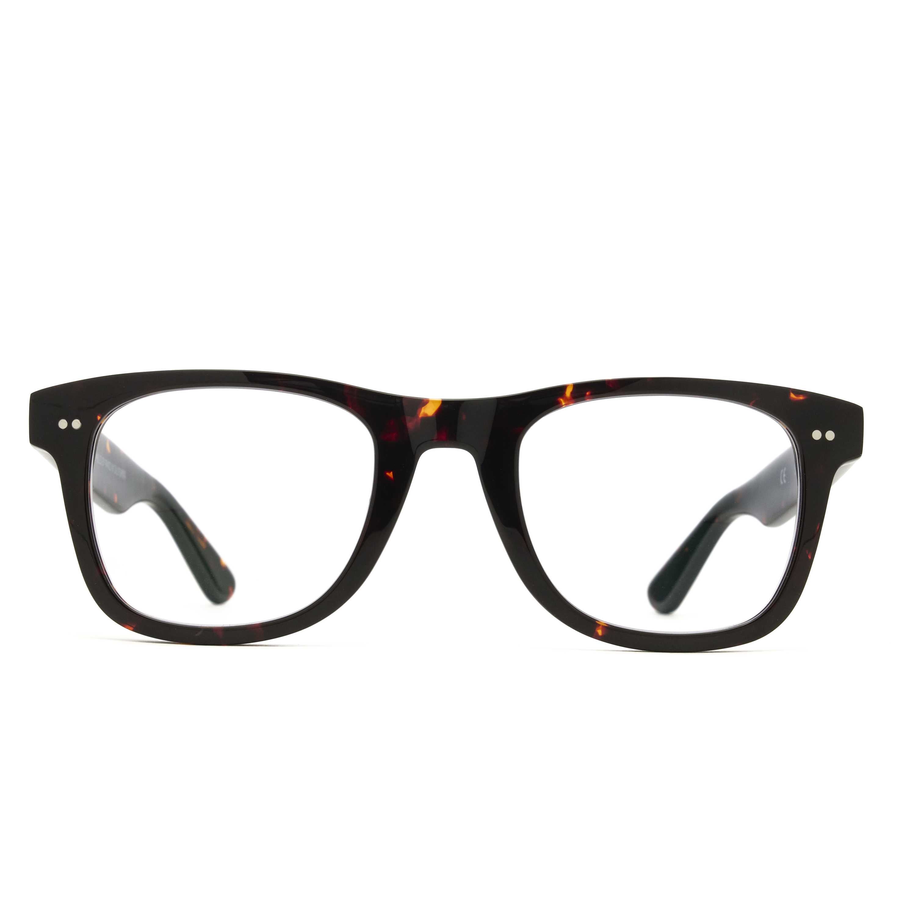 L&F Flo | EV6 Extended Vision Readers | Tortoise