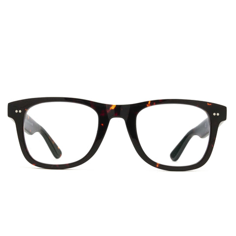 L&F Flo | EVinfinity Extended Vision Readers | Tortoise
