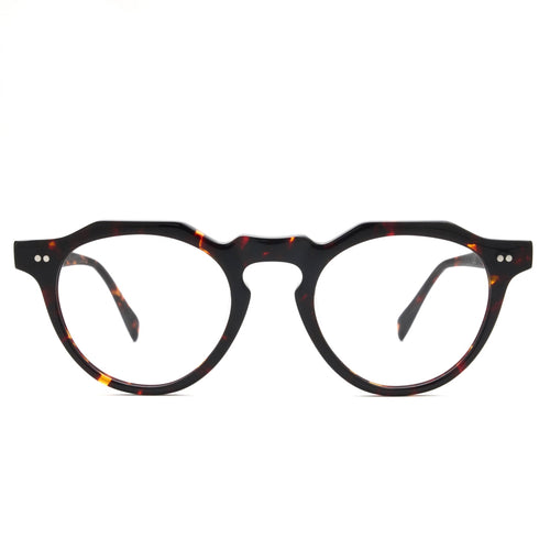 L&F Gibbs | EV20 Extended Vision Readers | Tortoise