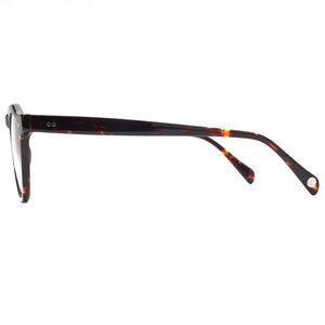 L&F Gibbs | EVinfinity Extended Vision Readers | Tortoise