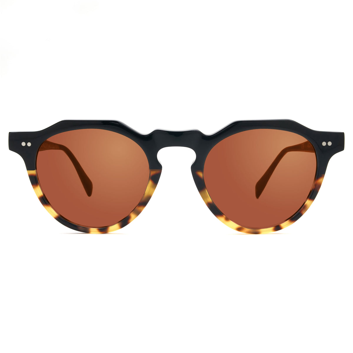 L&F Gibbs | EVinfinity Extended Vision Readers | Gloss Black / Tortoise