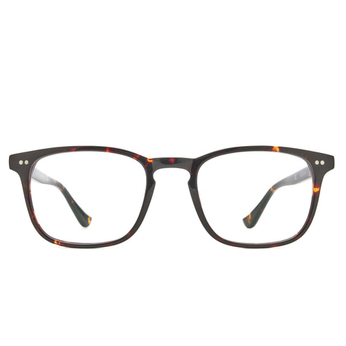 L&F Jonny | EV20 Extended Vision Readers | Tortoise