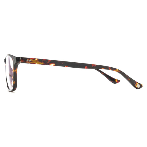 L&F Jonny | EV20 Extended Vision Readers | Tortoise